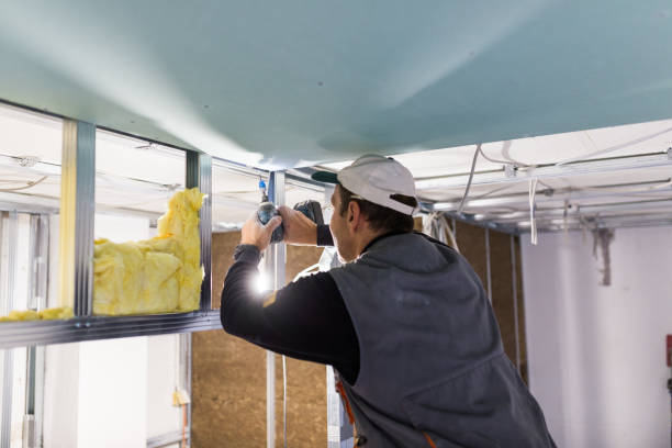 Best Energy Efficiency Insulation in Eastpointe, MI