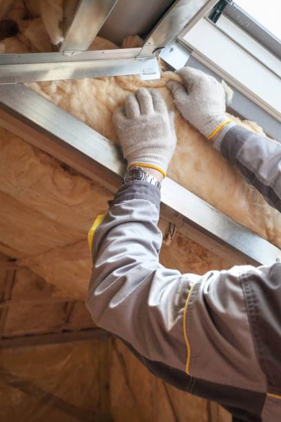 Best Residential Insulation in Eastpointe, MI