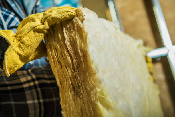 Best Cellulose Insulation in Eastpointe, MI