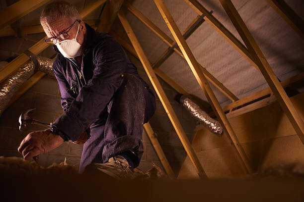 Professional Insulation Contractor in Eastpointe, MI