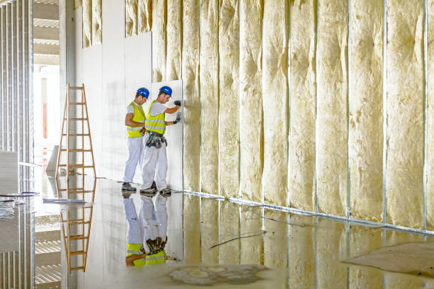 Best Geographic-Specific Insulation Services in Eastpointe, MI